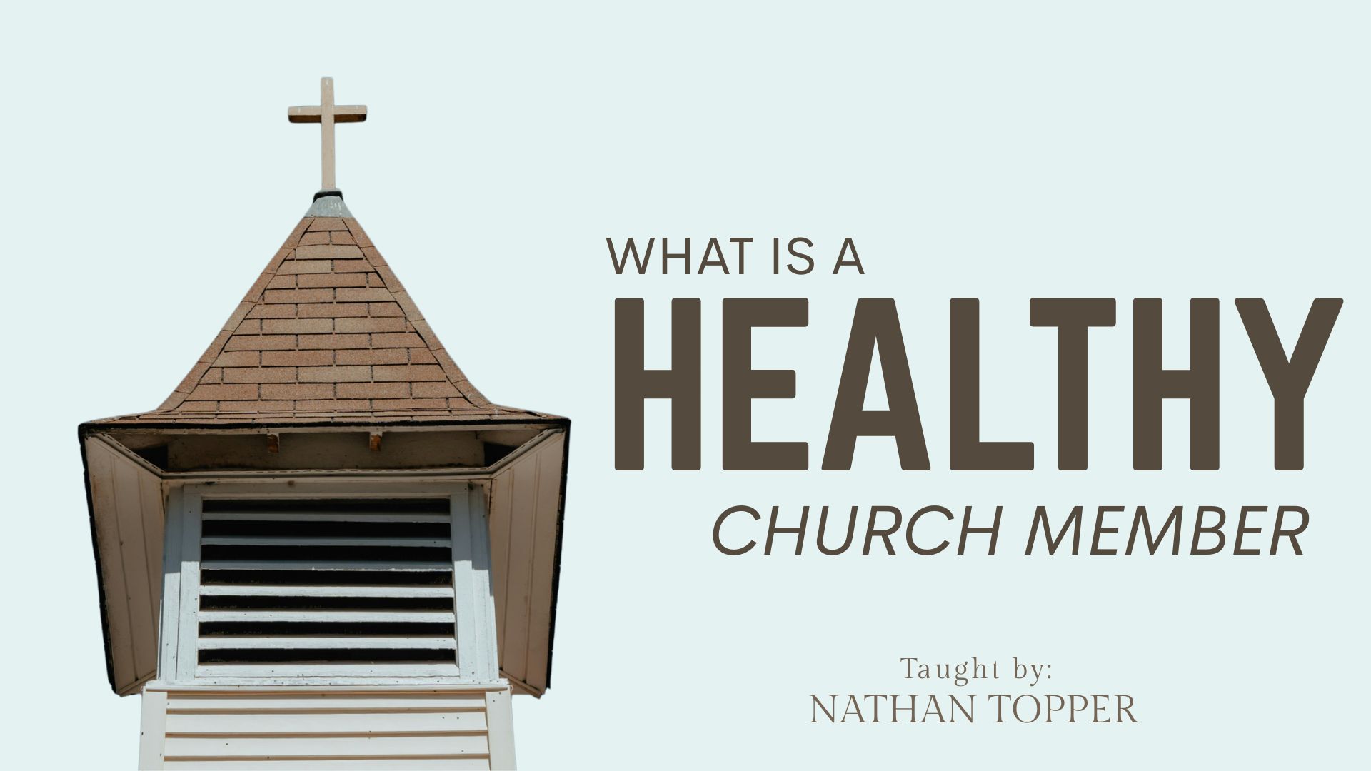 Healthy Church Member